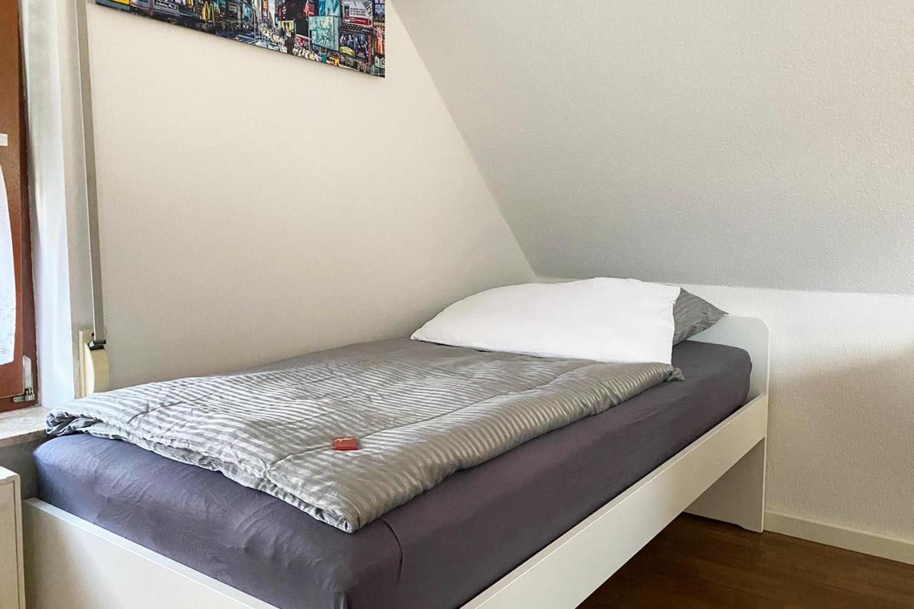 Schoenes 1 Zimmer Apartment Mit Dachterrasse Glauchau Dış mekan fotoğraf