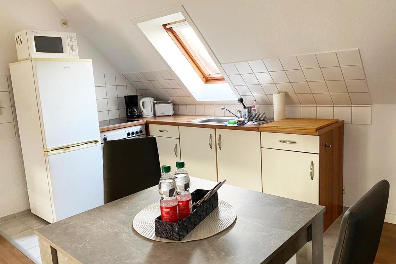 Schoenes 1 Zimmer Apartment Mit Dachterrasse Glauchau Dış mekan fotoğraf